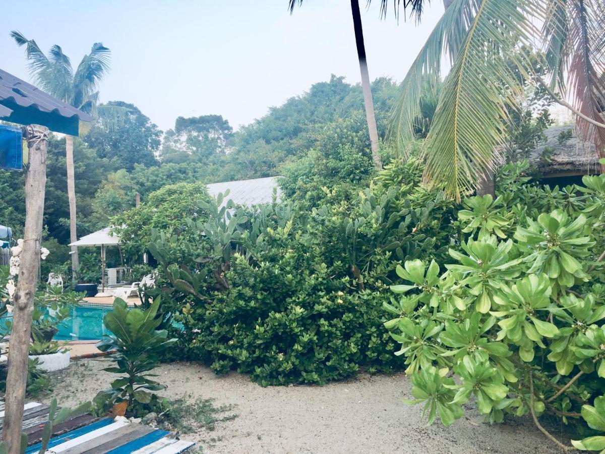 Lamai Chalet Amphoe Koksamui Zewnętrze zdjęcie